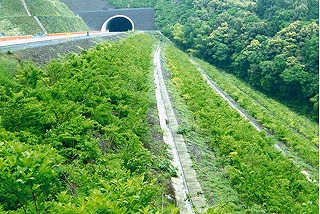 高速道路２